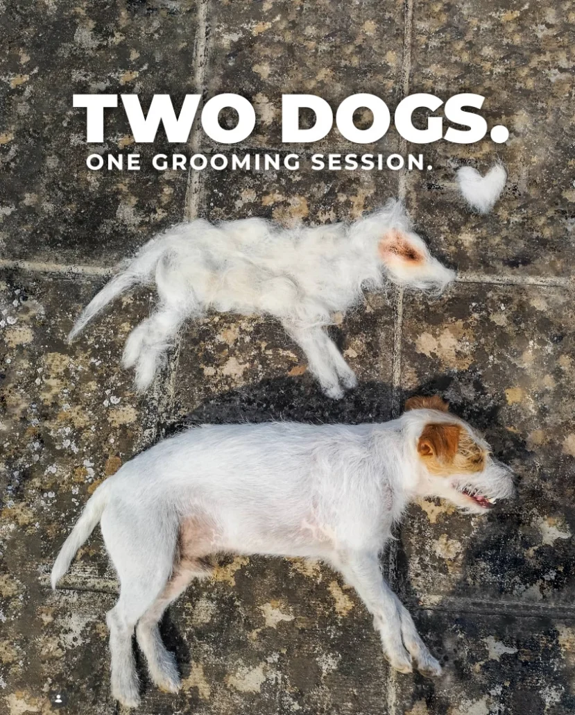 Dog grooming advertisement showing a trimmed dog beside a dog-shaped pile of removed fur under the headline “Two Dogs. One Grooming Session.”