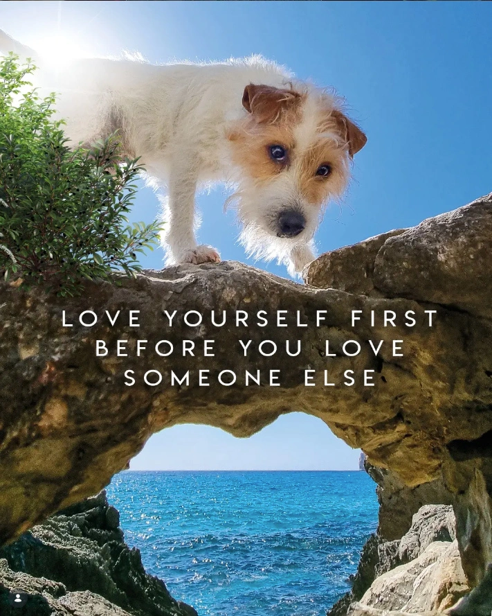 Dog standing above a heart-shaped rock opening by the sea with the quote “Love Yourself First Before You Love Someone Else.”